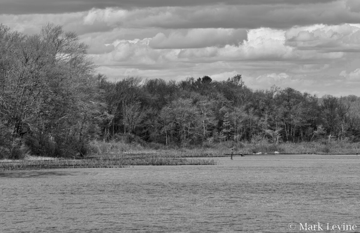 Simmons Pond