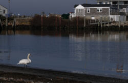 Sakonnet Harbor