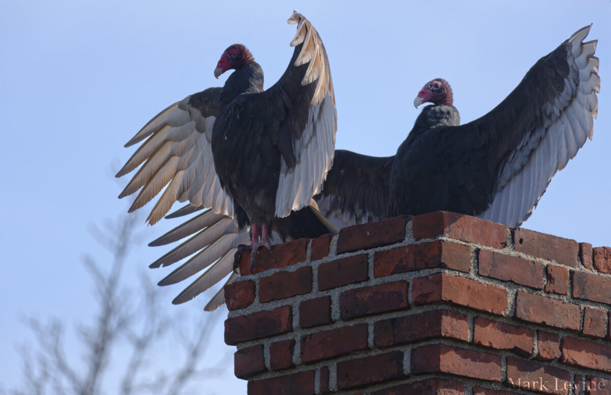 Chimney Ornaments