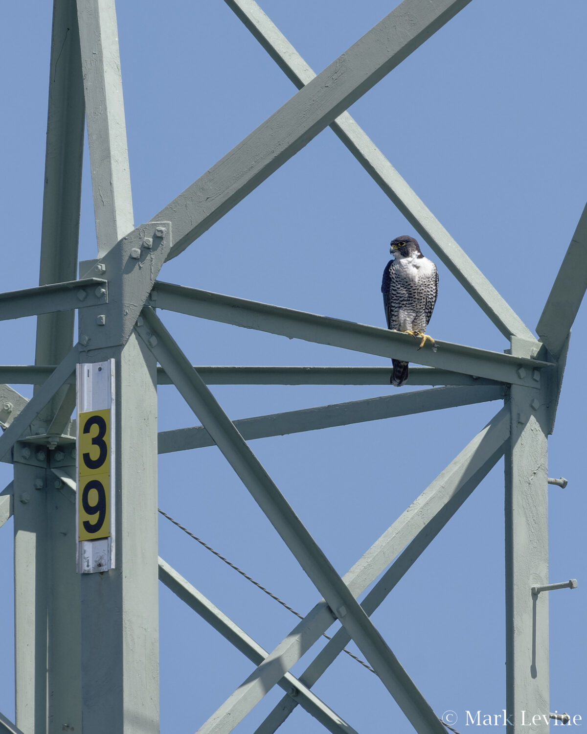 Transmission Tower #1