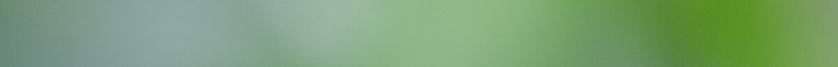 Green stripe