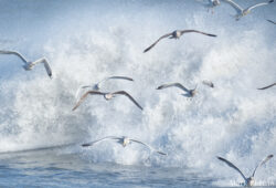 Rough Surf #7 Rough Surf #7