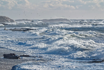 Pounding Waves #1